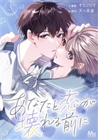 あなたと恋が壊れる前に 3