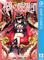 『鵺の陰陽師 12』の電子書籍