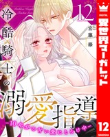 冷酷騎士の溺愛指導 -10年分の甘い愛にとろけ中- 12