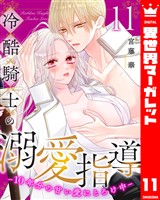 冷酷騎士の溺愛指導 -10年分の甘い愛にとろけ中- 11