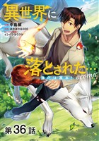 【単話版】異世界に落とされた…浄化は基本！@COMIC 第36話