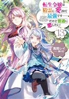 転生令嬢は精霊に愛されて最強です……だけど普通に恋したい!13【電子書籍限定書き下ろしSS付き】