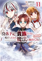 没落予定の貴族だけど、暇だったから魔法を極めてみた@COMIC 第11巻