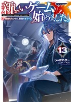 新しいゲーム始めました。~使命もないのに最強です?~13【電子書籍限定書き下ろしSS付き】