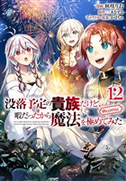 没落予定の貴族だけど、暇だったから魔法を極めてみた@COMIC 第12巻