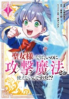 聖女様になりたいのに攻撃魔法しか使えないんですけど！？ THE COMIC 1