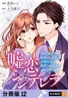 嘘恋シンデレラ～地味OLの私が次期社長に溺愛されるまで～ 【分冊版】 12