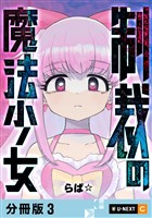 制裁の魔法少女 【分冊版】 3