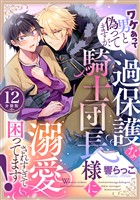 ワケあって男と偽ってますが、過保護な騎士団長様に溺愛されすぎて困ってます！ 【分冊版】 12