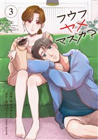フウフヤメマスカ？ 3巻