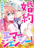 婚約エマージェンシー！～結婚前夜に見知らぬイケメンに求婚されました！？(30)