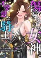傷だらけの女神と不愛想な騎士(ナイト)【全年齢版】(9)