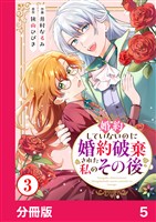 婚約していないのに婚約破棄された私のその後【分冊版】5