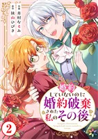 婚約していないのに婚約破棄された私のその後 2