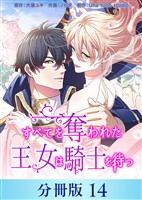 すべてを奪われた王女は騎士を待つ【分冊版】14