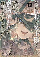 勇者に敗北した魔王様は返り咲くために魔物ギルドを作ることにしました。　12巻
