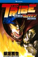 TRIBE 流星のロックマン 武闘外伝