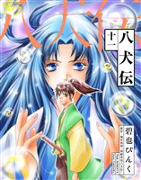 八犬伝（１１）