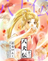 八犬伝（１３）