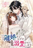 三年後離婚するはずが、なぜか溺愛されてます　【連載版】: 13