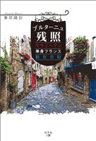 ブルターニュ残照　サラリーマン単身フランス駐在日記
