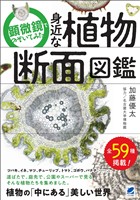 顕微鏡でのぞいてみた 身近な植物断面図鑑