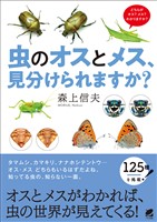 虫のオスとメス、見分けられますか?