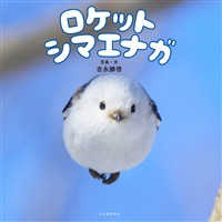 ロケットシマエナガ