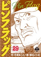 ピンフラッグ 29