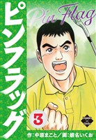 ピンフラッグ 3
