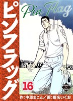 ピンフラッグ 16