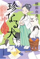 珍なる犬　出直し神社たね銭貸し