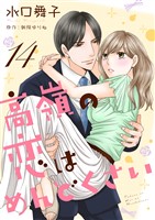 高嶺の恋はめんどくさい１４