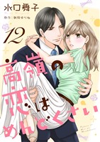 高嶺の恋はめんどくさい１２