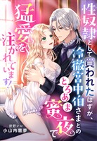性奴隷として買われたはずが、冷徹宮中伯さまとのとろあま蜜夜で猛愛を注がれています！