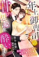 年上御曹司の甘い思惑に酔いしれて～素直になれない私に、秘密の飲み友達ができました～