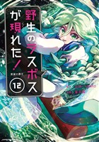 野生のラスボスが現れた！　黒翼の覇王１２【電子書店共通特典イラスト付】