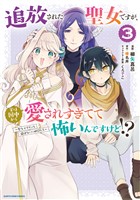 追放された聖女ですが、実は国中から愛されすぎてて怖いんですけど！？　～聖女イヴリンと愉快な（？）仲間たち～３【電子書店共通特典イラスト付】