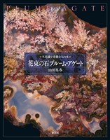 花束の石 プルーム・アゲート