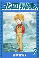 北回帰線（７）