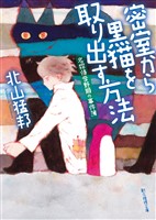 密室から黒猫を取り出す方法