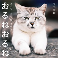 おるねおるね──あちらこちら猫さがし