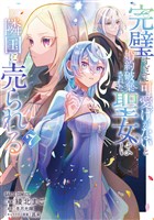 完璧すぎて可愛げがないと婚約破棄された聖女は隣国に売られる 7