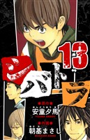 シバトラ 愛蔵版 13
