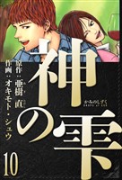 神の雫 愛蔵版 10