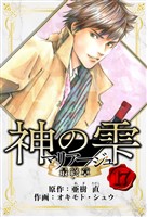 マリアージュ ～神の雫 最終章～　愛蔵版　17