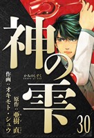 神の雫 愛蔵版 30