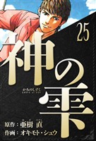 神の雫 愛蔵版 25