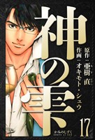 神の雫 愛蔵版 17