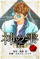 マリアージュ ～神の雫 最終章～　愛蔵版　12